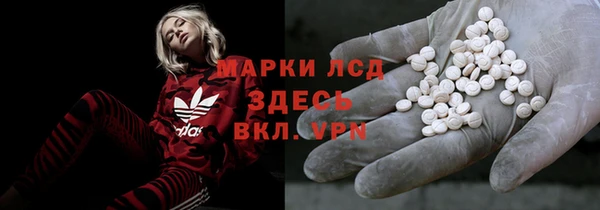 СК Волоколамск