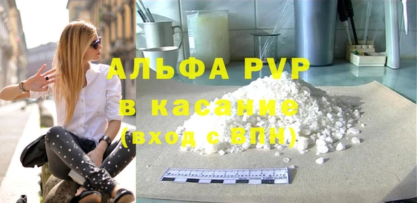 СК Волоколамск